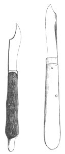 Baltet - L'art de greffer - fig5