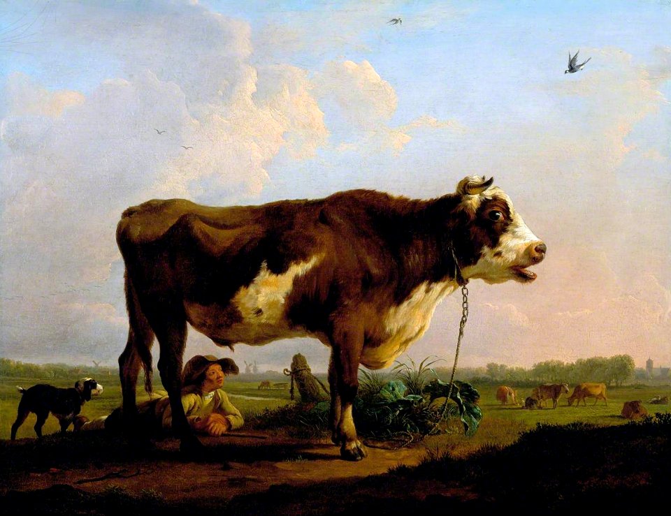 Balthazar Paul Ommeganck - A Bull