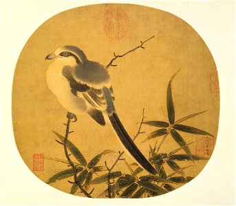 Bamboo and Shrike
