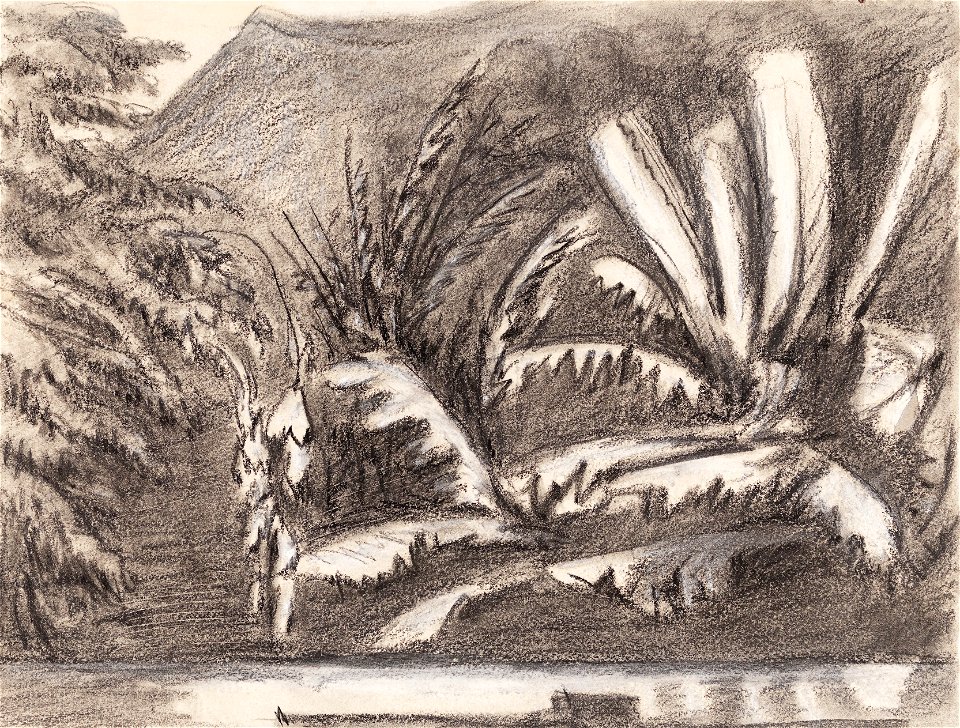 Bananas overhanging the ledge of Williams' bath - by Moonlight, da Coleção Brasiliana Iconográfica