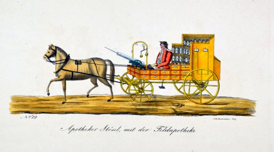 Bamberg Maskerade 1837 img12