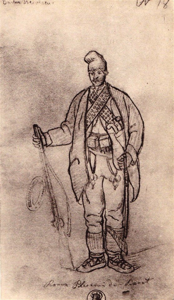 Barbu Iscovescu - Roman plaes din Banat
