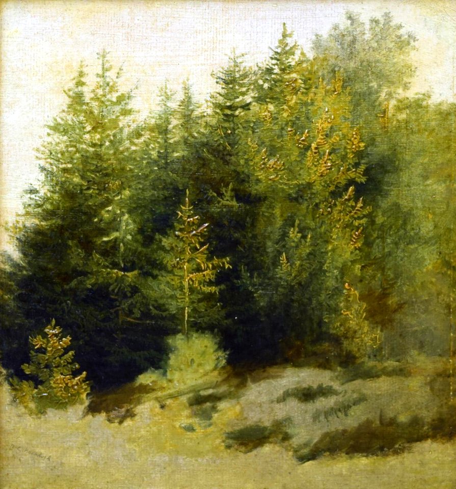 Barend Cornelis Koekkoek - Landscape, Study in Oil - 1921.204.1 - Reading Public Museum