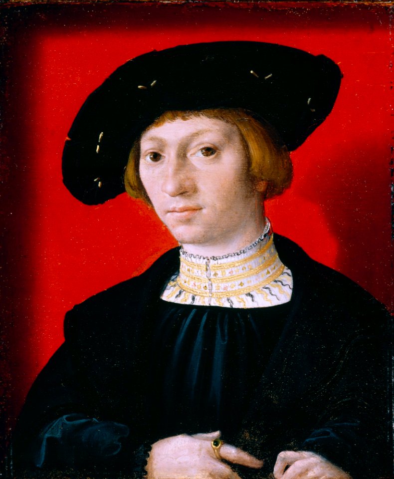 Barend van Orley - A Young Man - 34.186 - Detroit Institute of Arts