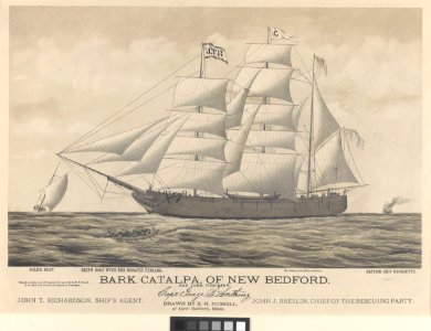Bark Catalpa of New Bedford, police boat, ship's boat and British ship Georgette RMG PY0582