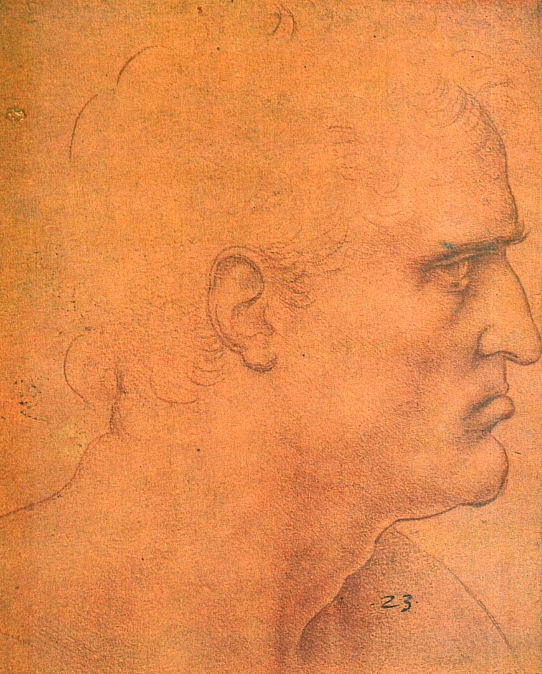 Bartholomaeuskopf (da Vinci)