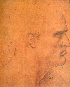 Bartholomaeuskopf (da Vinci)
