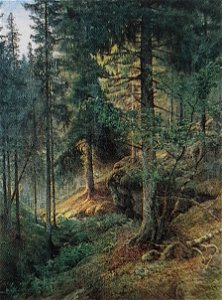 Barrskog x Wilhelm Behm