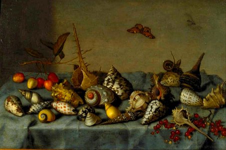 Bartholomeus van der Ast still life with shells. Free illustration for personal and commercial use.