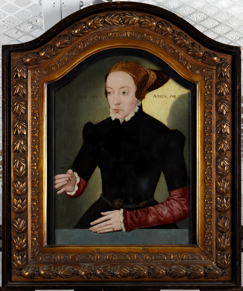 Bartholomäus Bruyn The Younger - Portrait of a Lady - y1970-118 - Princeton University Art Museum