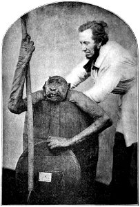 Bartlett and gorilla