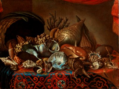 Bartolomeo Bimbi Muscheln und Korallen auf einem Teppich