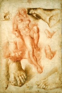 Bartolommeo Passerotti - Copy after Michelangelo's Aurora - Google Art Project