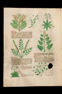 Basel K II 11, f.005v