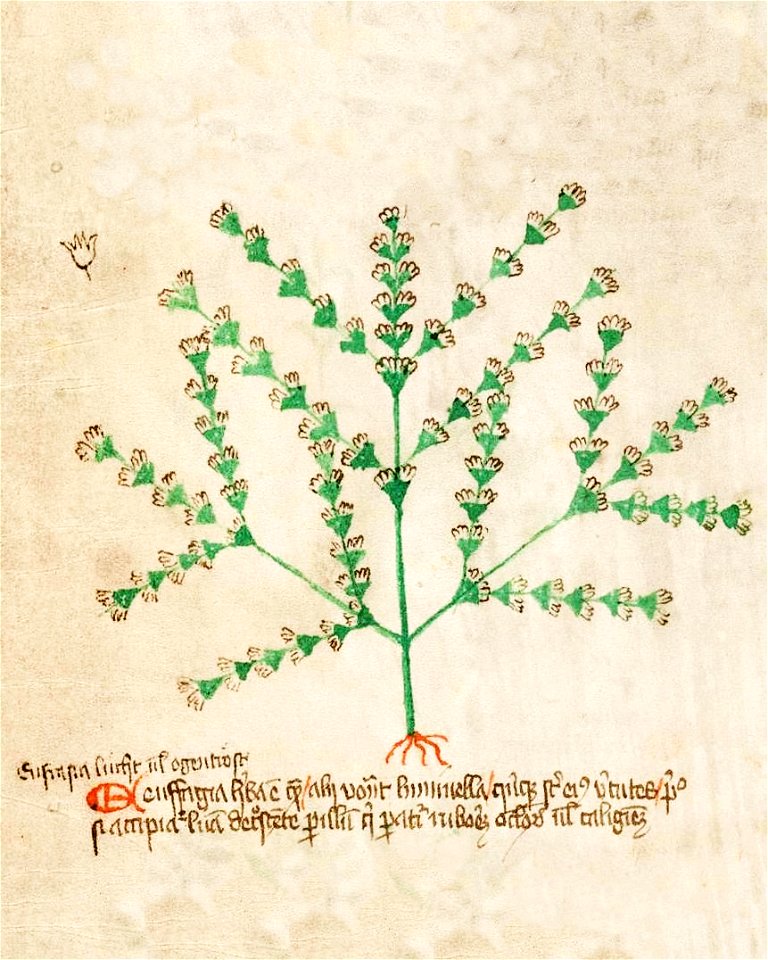 Basel K II 11, f.012v (detail)