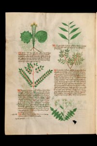 Basel K II 11, f.003v