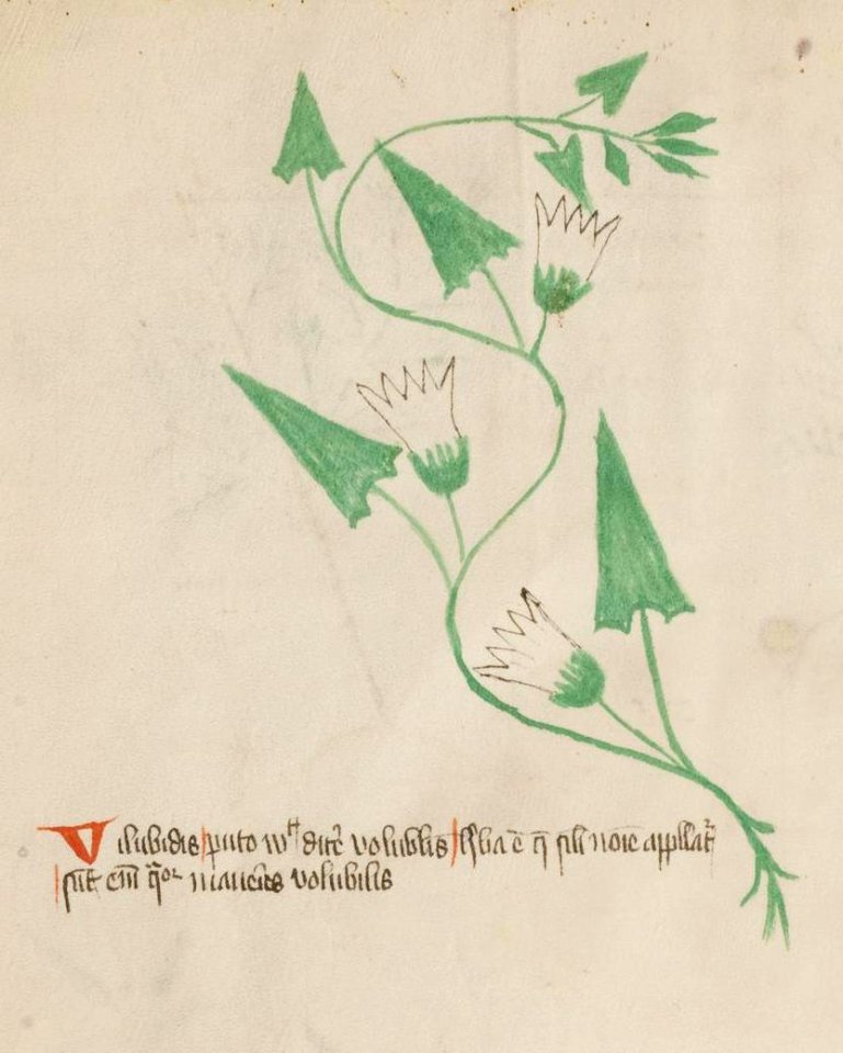 Basel K II 11, f.033v (detail)