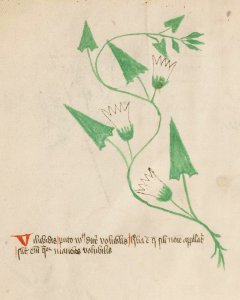 Basel K II 11, f.033v (detail)