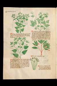Basel K II 11, f.004v