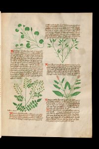 Basel K II 11, f.004r