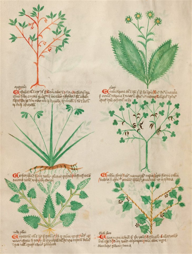 Basel K II 11, f.011v (cropped)