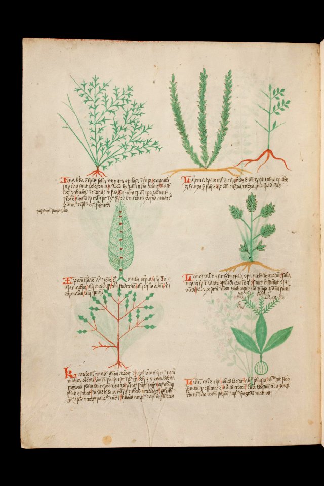 Basel K II 11, f.017v