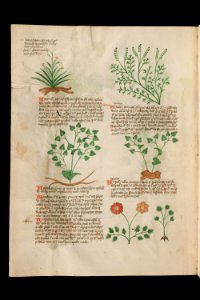 Basel K II 11, f.002v
