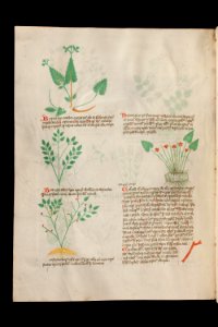 Basel K II 11, f.006v