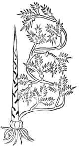 1485 Gart Spargen