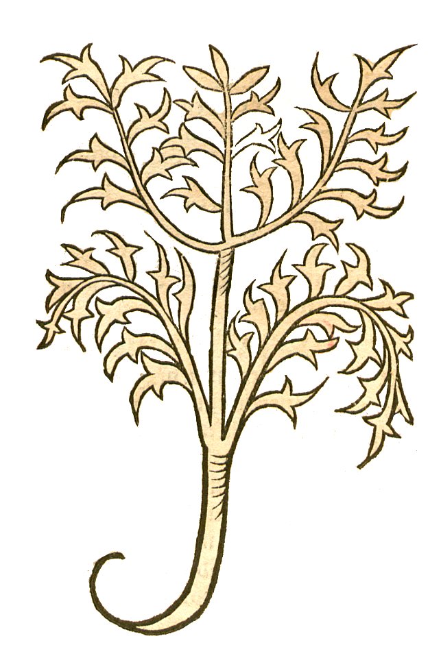 1491 Hortus Valeriana