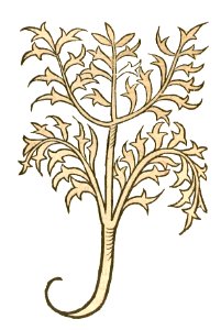 1491 Hortus Valeriana
