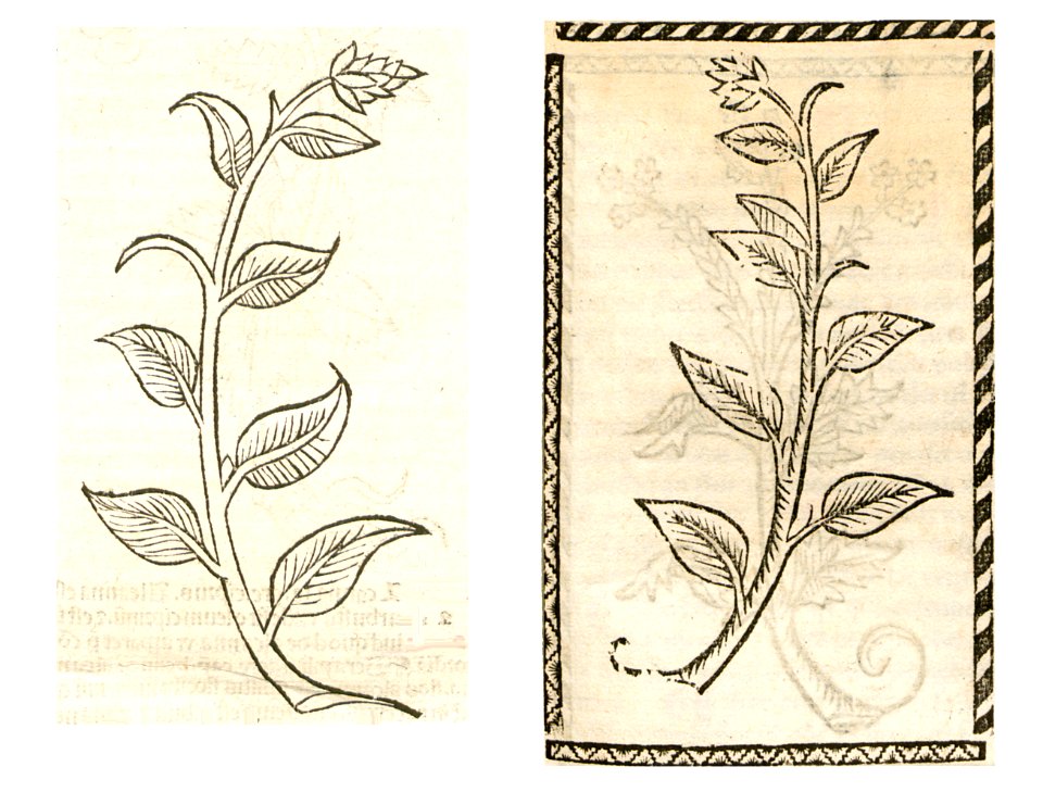 1497 1500 Heidensch Wuntkraut