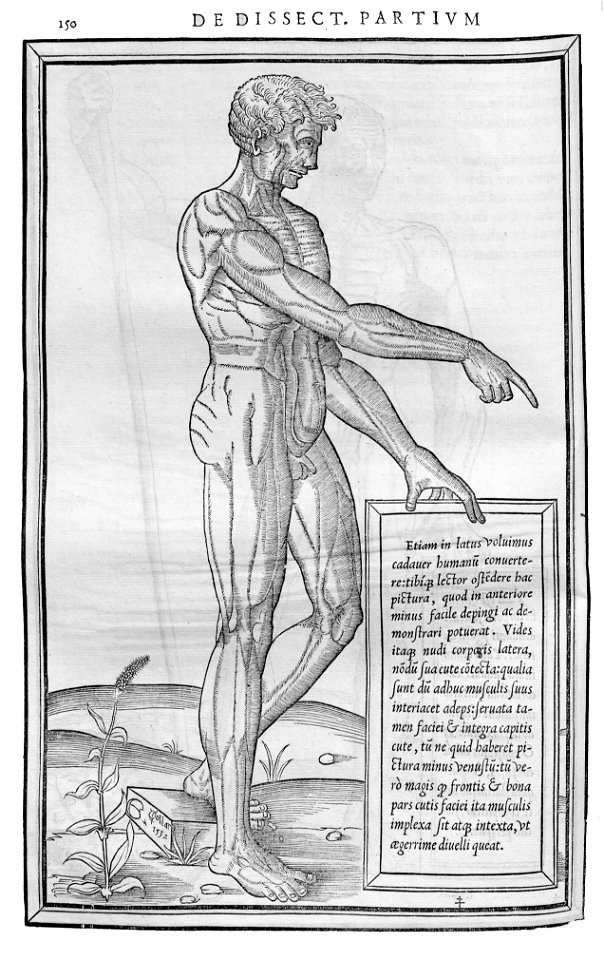 150 Charles Estienne 1545