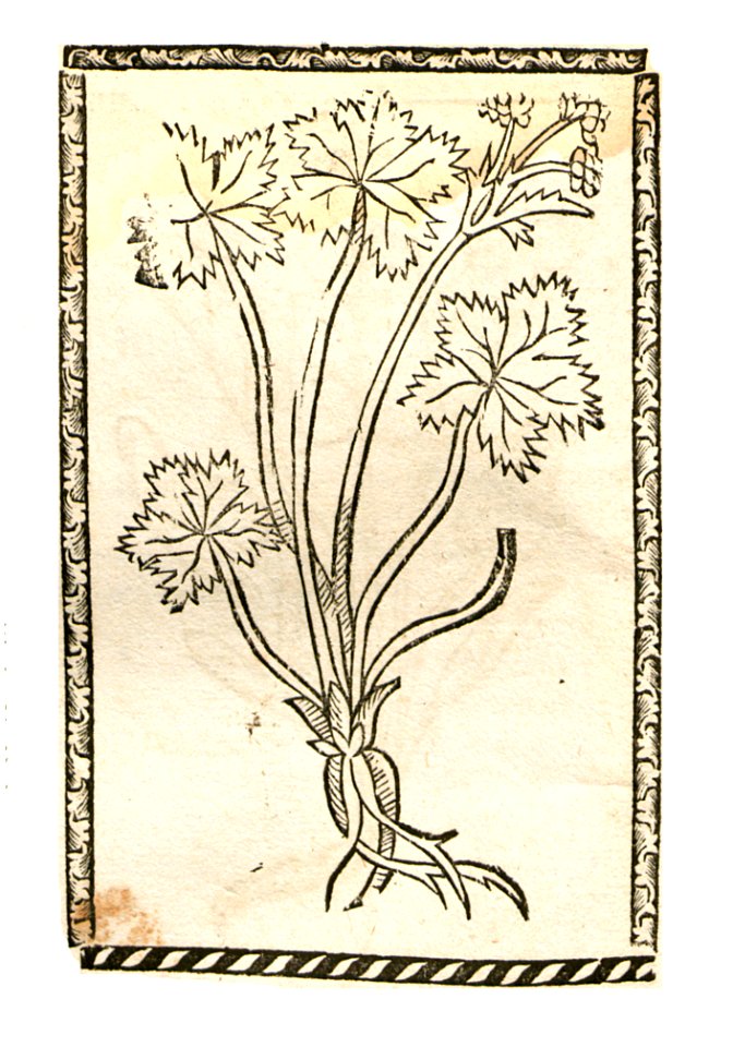 1500 Sanickel