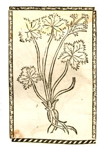 1500 Sanickel