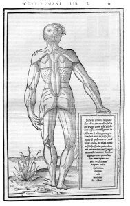 151 Charles Estienne 1545