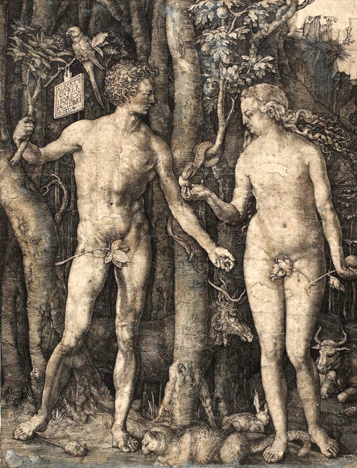 adam and eve durer