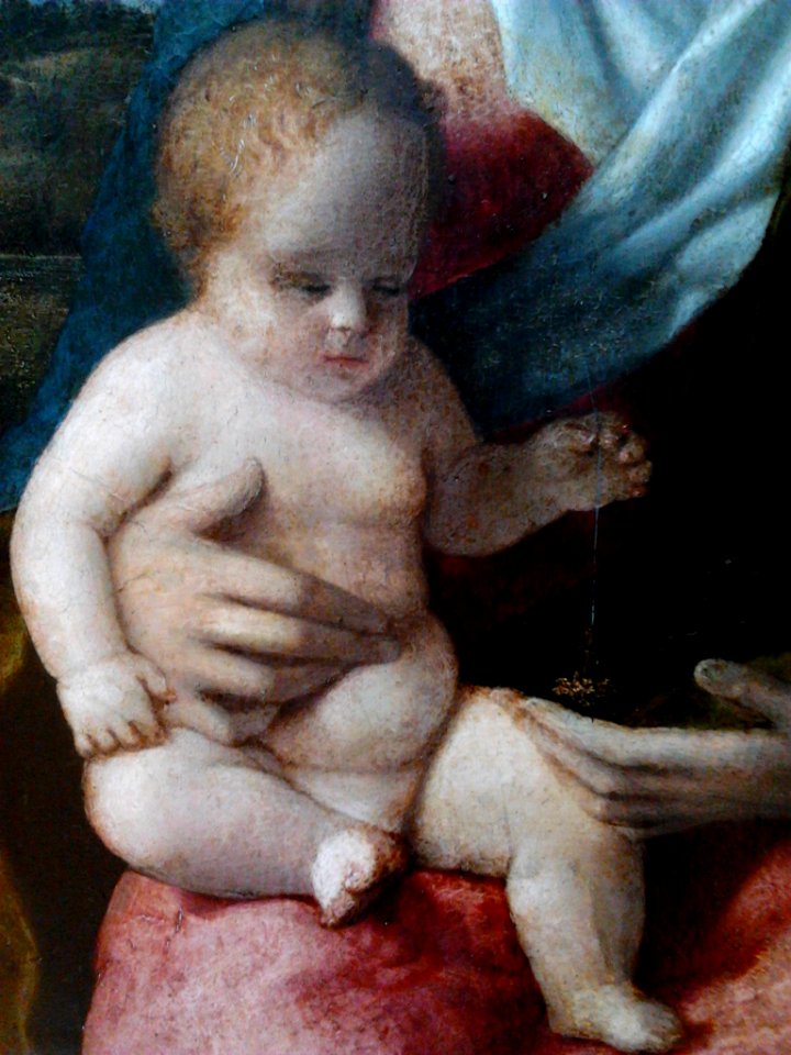 Bellini Madonna and Child (detail) 02