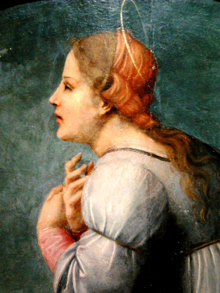 Franciabigio Mary (detail)