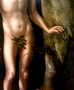 Cranach Adam and Eve (detail) 2. Free illustration for personal and commercial use.