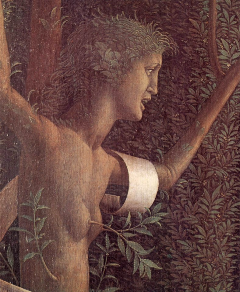 Andrea Mantegna 046