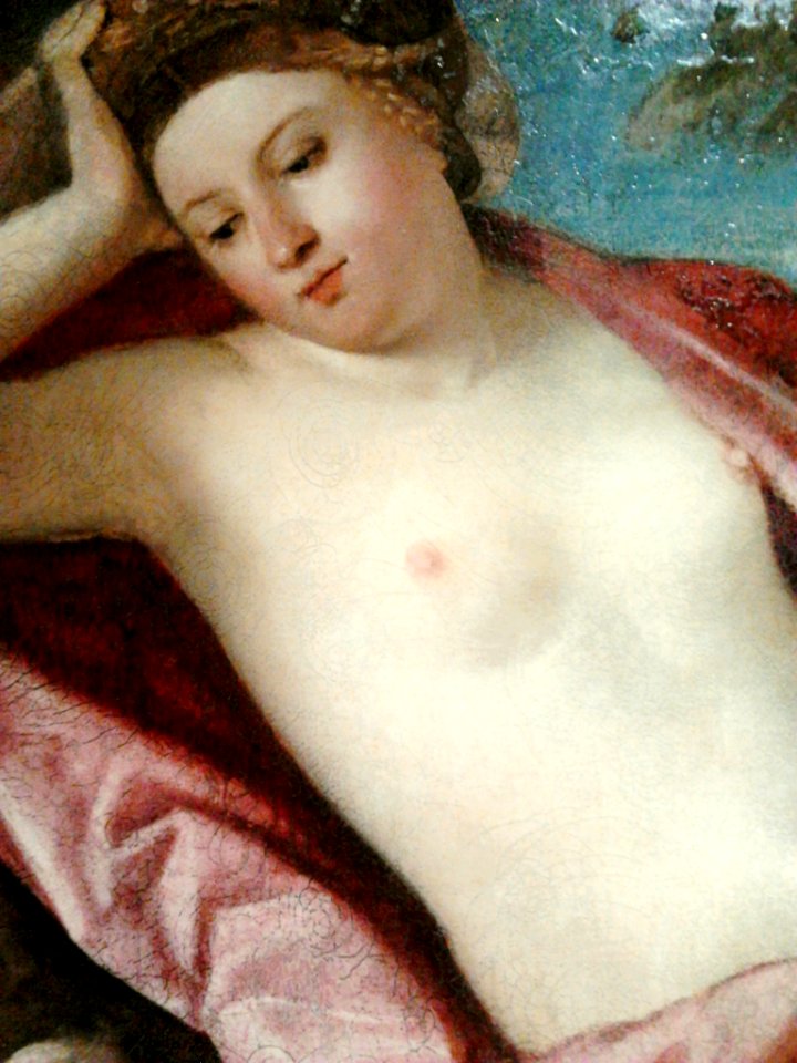 Cariani Countryside concert (detail)