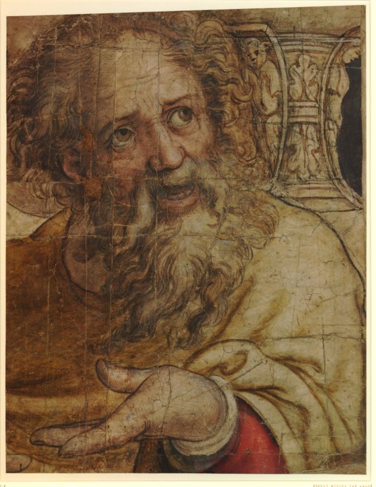 Pieter Coeck van Aelst - St Paul
