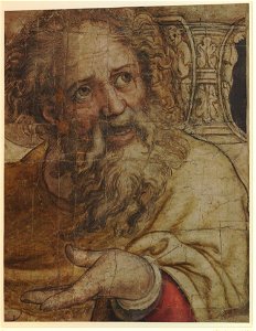 Pieter Coeck van Aelst - St Paul