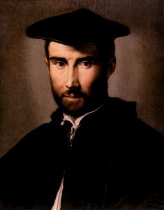 Parmigianino - Portrait of a Man - WGA17040. Free illustration for personal and commercial use.