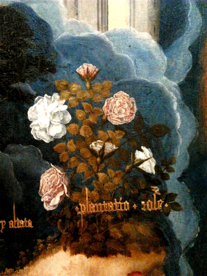 Isenbrant Immaculate Conception (detail) 04