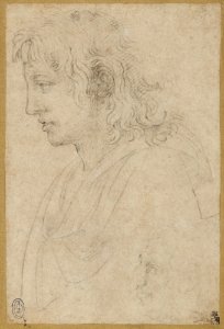 1530, Michelangelo Buonarroti, Bust of a Youth and Caricature Head of an Old Man, Both in Left Profile