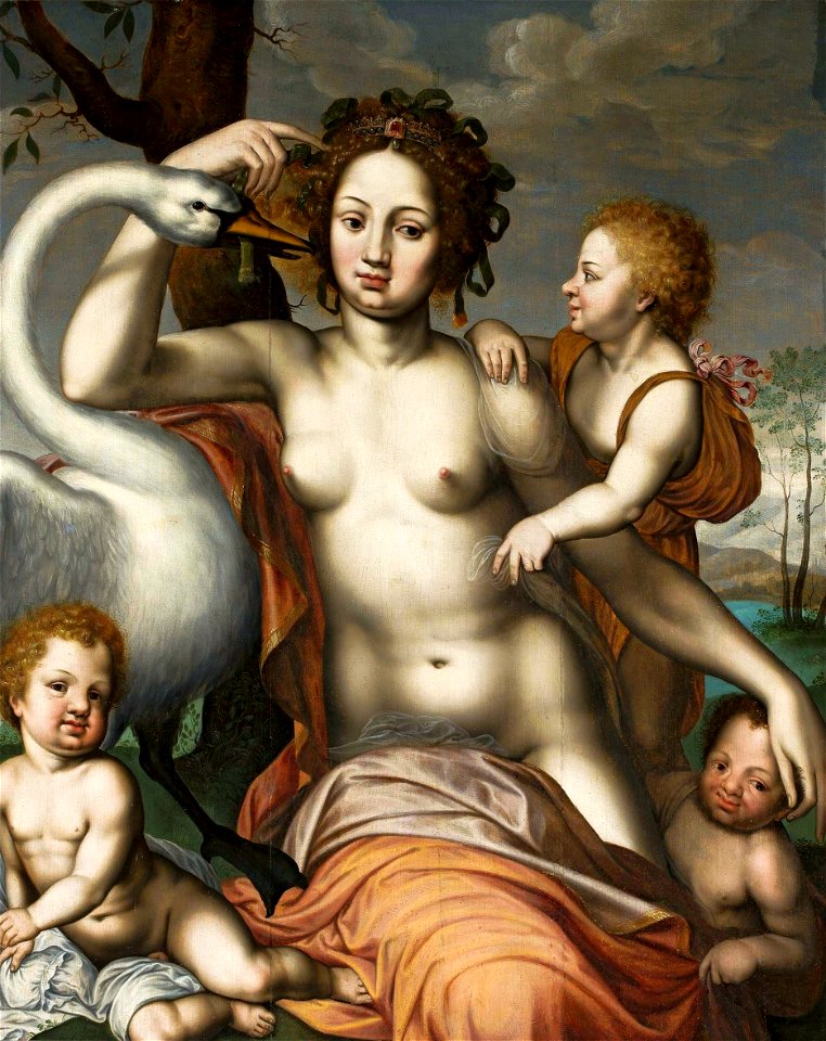 Sellaer Leda