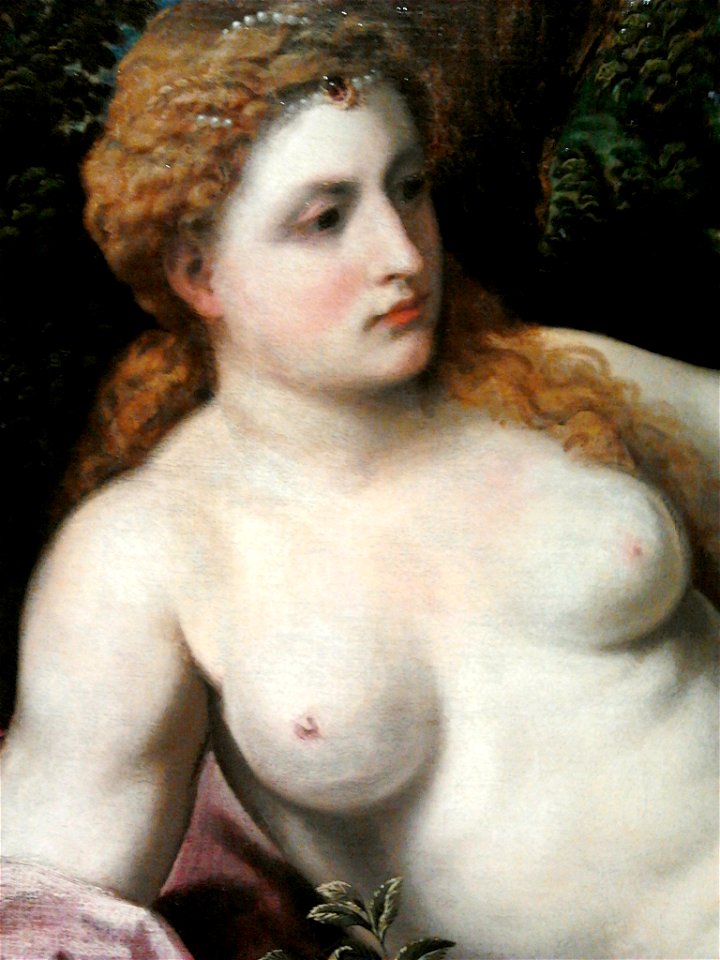 Bordone Venus and Amor (detail) 01