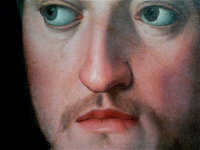 Bronzino Cosimo de' Medici (detail) 03
